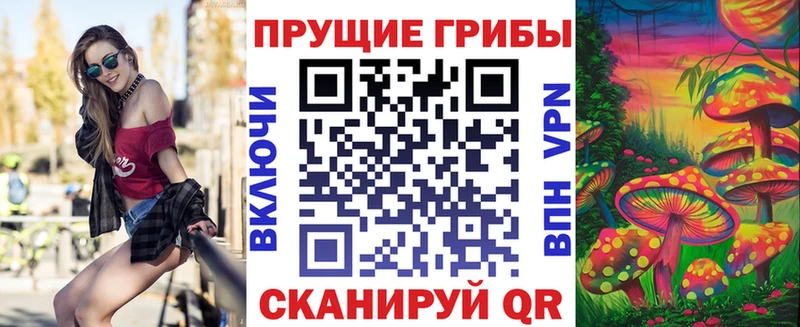 дарнет шоп  Волжск  Галлюциногенные грибы MAGIC MUSHROOMS 