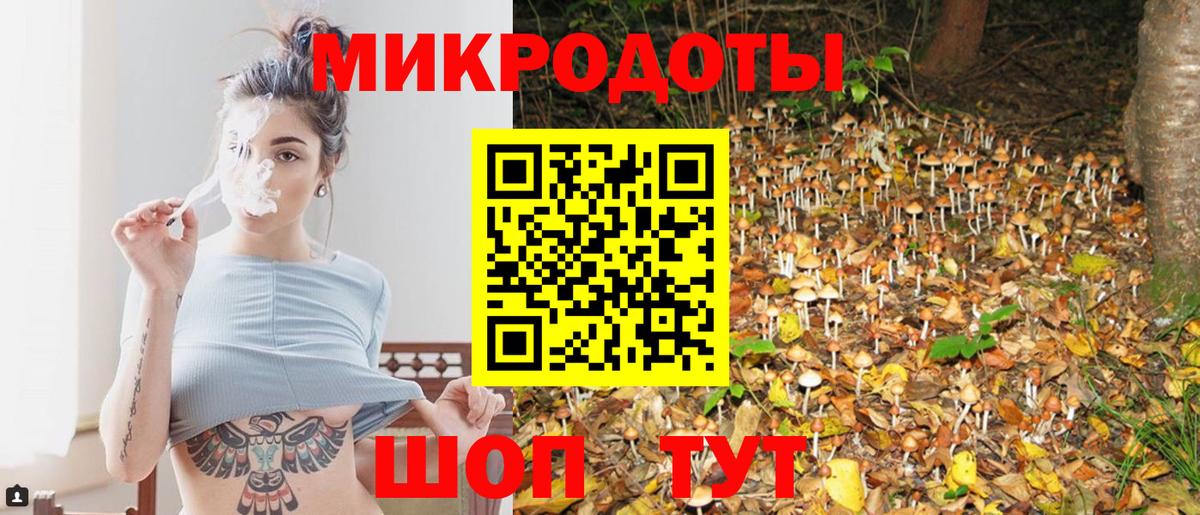 закладка  Волжск  Псилоцибиновые грибы GOLDEN TEACHER 