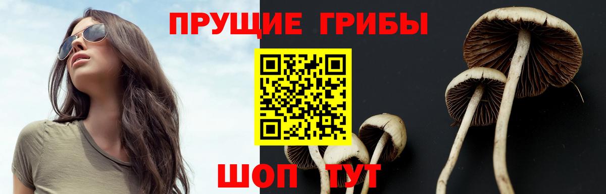 Псилоцибиновые грибы прущие грибы  Вход с VPN  Волжск  Псилоцибиновые грибы MAGIC MUSHROOMS 