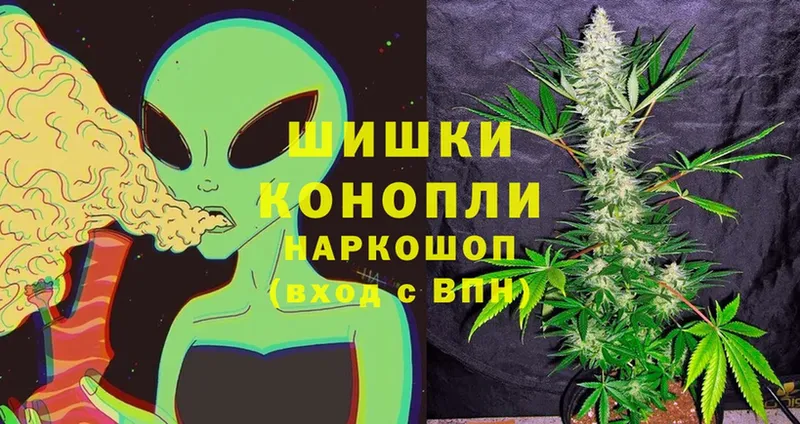 купить наркотик  Волжск  Конопля SATIVA & INDICA 