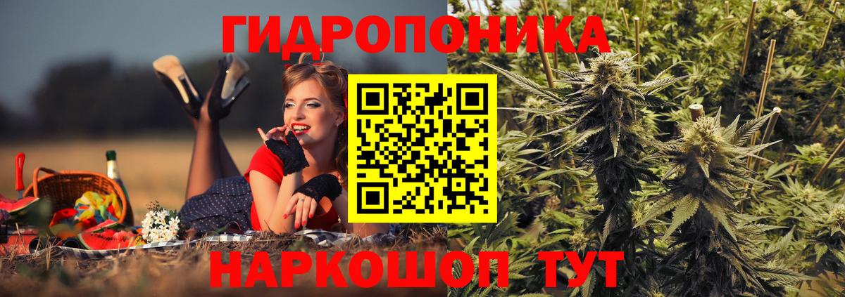 Бошки Шишки ГИДРОПОН  МАРИХУАНА ГИДРОПОН  Вход с VPN  Волжск  Бошки марихуана THC 21% 